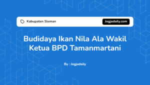 Budidaya Ikan Nila Ala Wakil Ketua BPD Tamanmartani | JOGJA DAILY